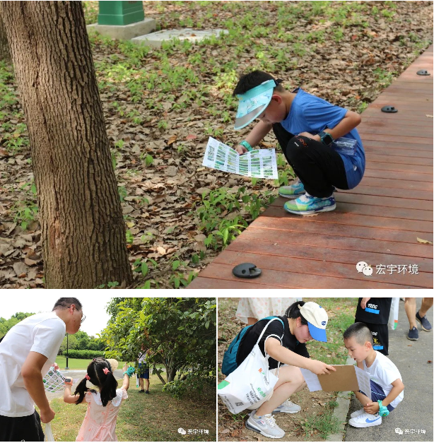 “走进石湖，探索生物多样性”环保公益夏令营圆满成功